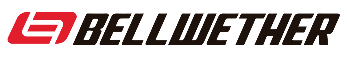 Logo Bellwether 2021