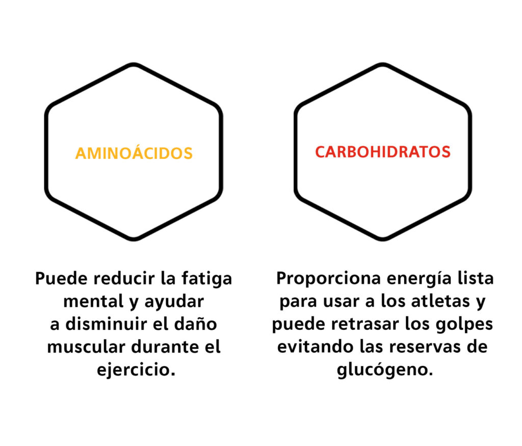 Carbohidratos- Cuadro